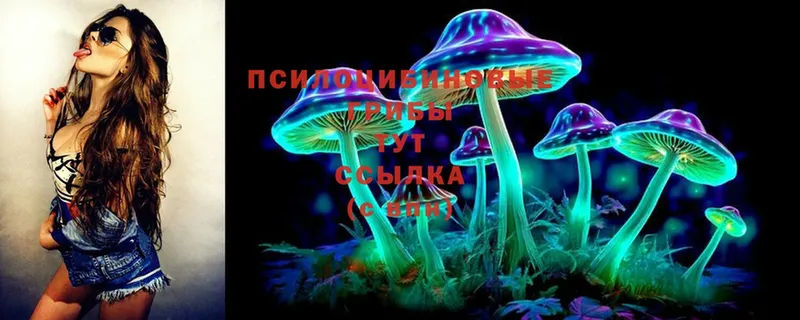 наркота  Гай  KRAKEN ССЫЛКА  Псилоцибиновые грибы Cubensis 